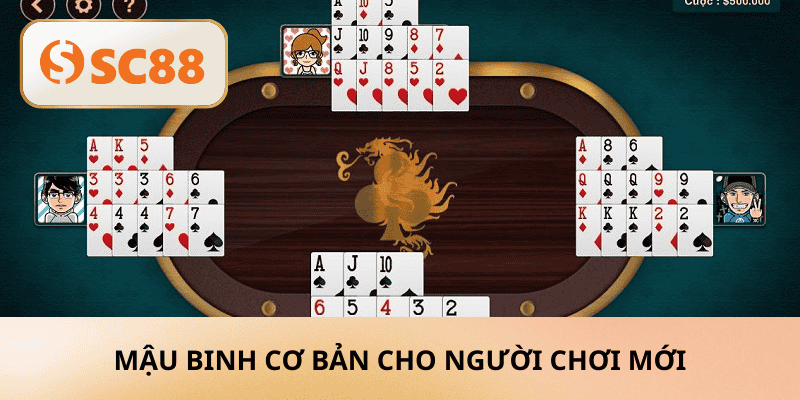 Mậu binh cơ bản cho người chơi mới